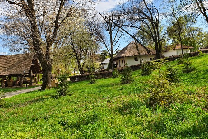 Bucharest Private Tour with Dracula's Grave and Ceaușescu Mansion - Timing, tickets, and practical planning