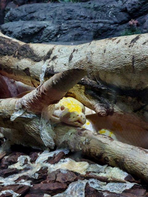 Bucharest: Reptiland Bucharest Entry Ticket - Why the plant life matters