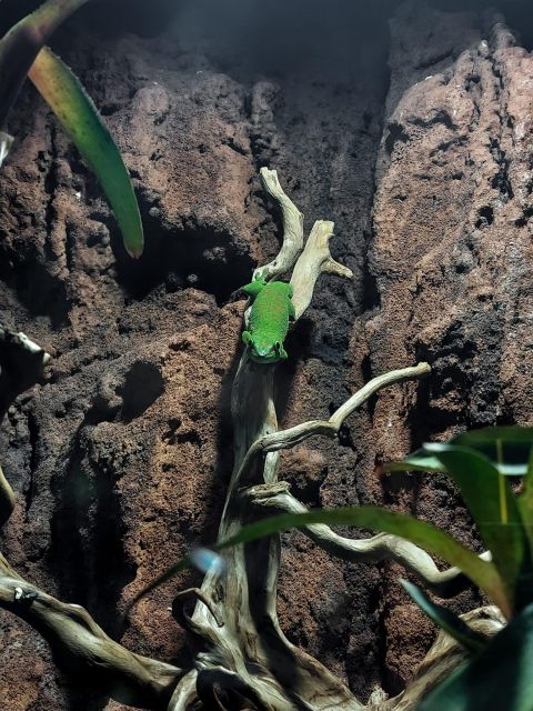 Bucharest: Reptiland Bucharest Entry Ticket - What I like most, and what to consider
