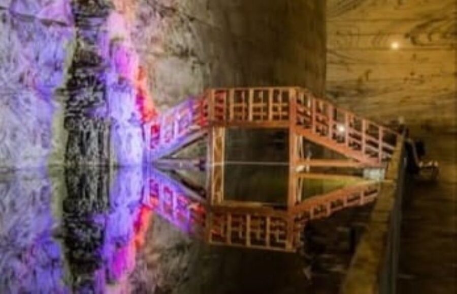 Bucharest: Slanic Salt Mine & Carpathian Mountains Day Tour - Meeting a local family
