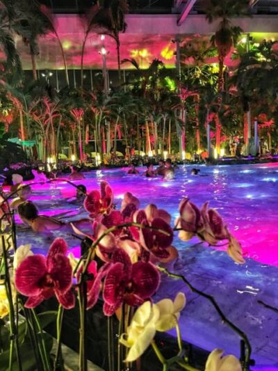 Therme Spa Night Experience with Transfer