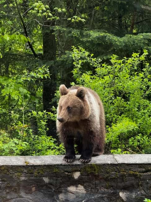 Bucharest: Top Gear Road Transfagarasan Day Trip - Vidraru Dam: a strong first stop