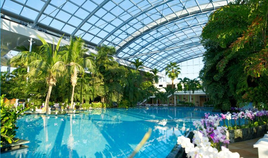 Bucuresti: Therme Bucharest Evening Entry Ticket & Transfer - Palm and Galaxy: two different moods