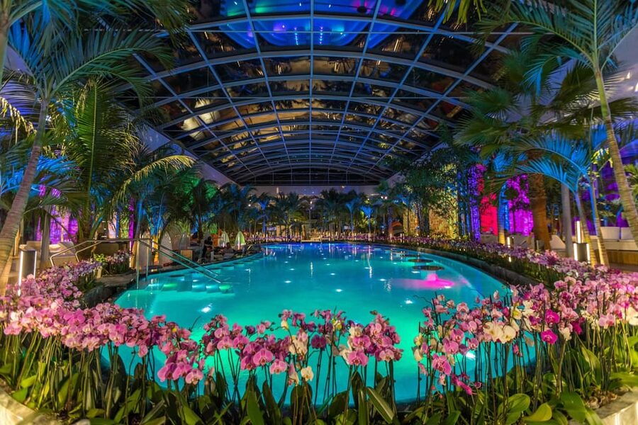 Bucuresti: Therme Bucharest Evening Entry Ticket & Transfer - Who should book this experience?