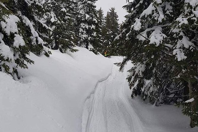 Carpathian mountains Snowmobile, ATV or Buggy tour in one day - From Bucharest to Peles Castle