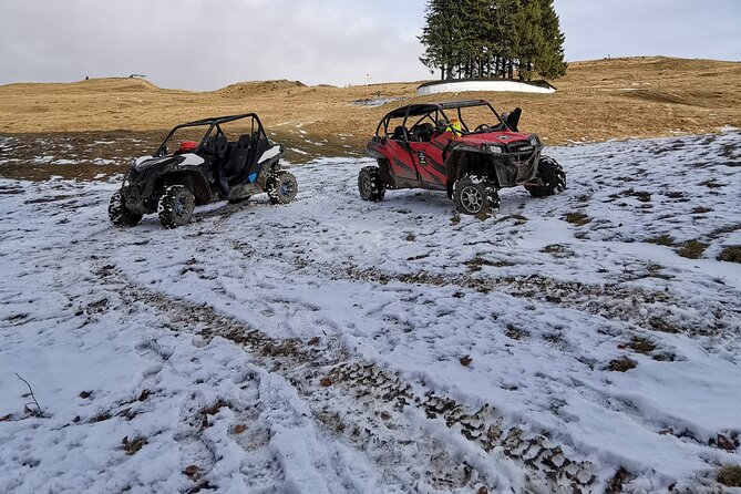 Carpathian mountains Snowmobile, ATV or Buggy tour in one day - How this compares with planning it yourself