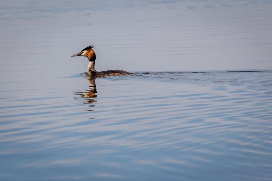 Danube Delta - 2-Day Tour from Bucharest - The first boat trip in the delta