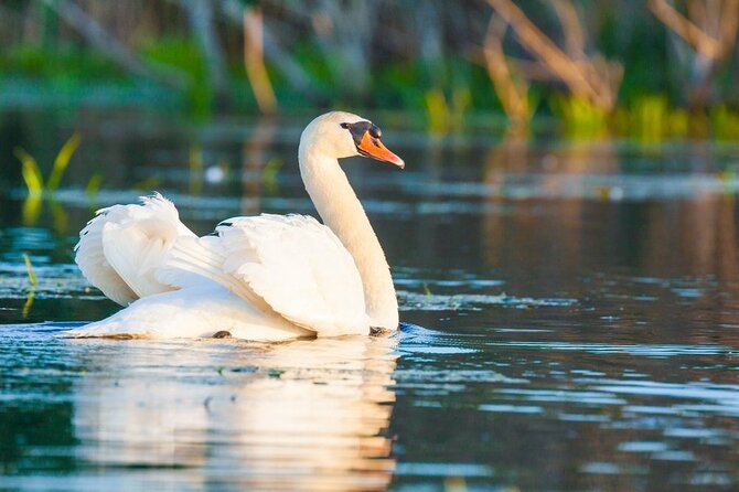 Danube Delta and Black See - 2 Days Private Tour from Bucharest - Overnight in Tulcea