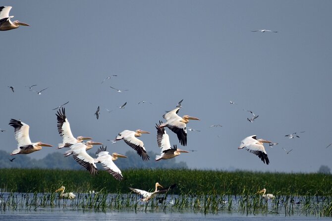 Danube Delta and Black See - 2 Days Private Tour from Bucharest - Mila 23 and local food