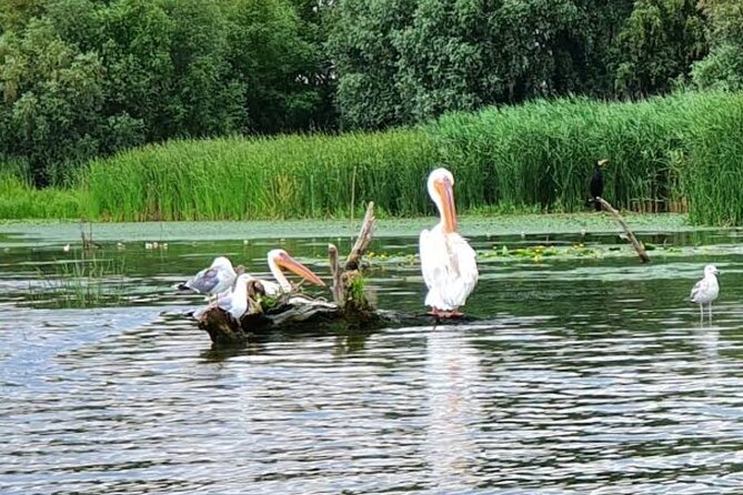 Danube Delta - Private Tour with Boat Trip & Traditional Lunch - What the $227.70 price really covers