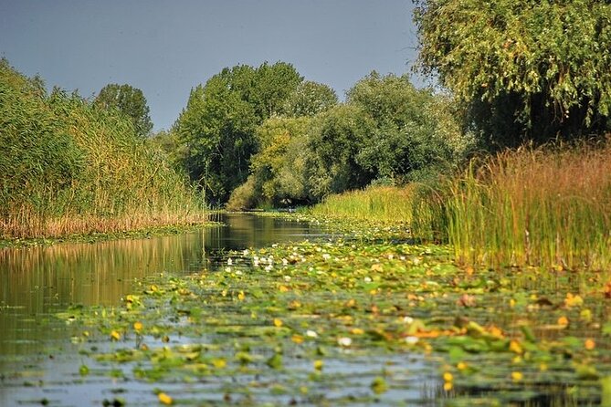 Day Trip from Bucharest to Danube Delta - The road from Bucharest to the wetlands