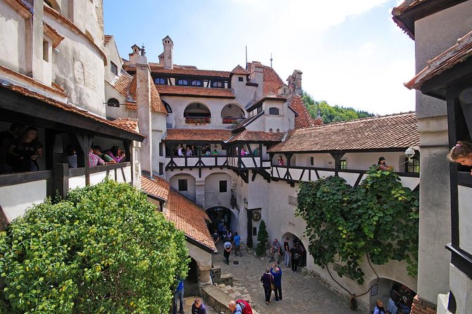 Dracula's Castle, Brasov and Peles Full-Day Tour from Bucharest - The road is part of the experience, but also the risk