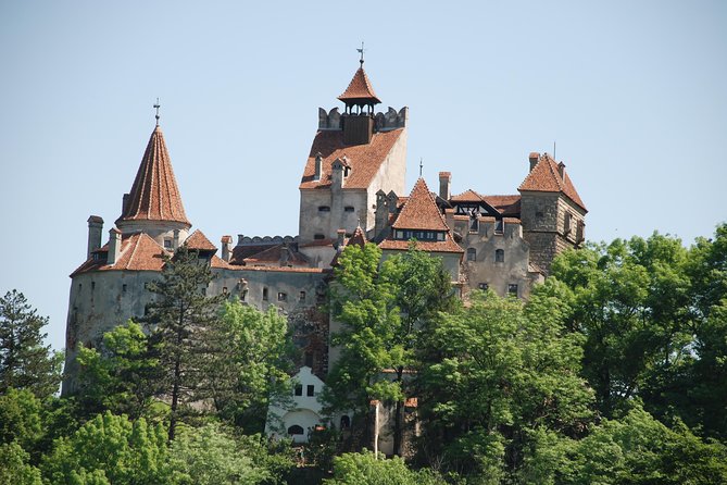 Dracula's Castle & Peles Palace Tour from Bucharest Including Brasov Old Town - Is $276.67 a fair price?