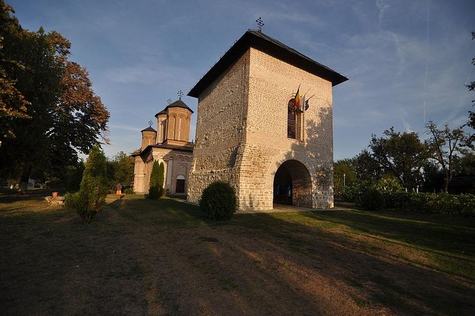 Dracula's Tomb and Mogosoaia Palace, Private Tour from Bucharest - A Private Half-Day From Bucharest