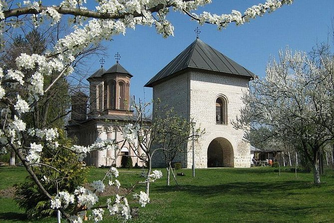 Dracula's Tomb and Mogosoaia Palace, Private Tour from Bucharest - The Guide and the Pace