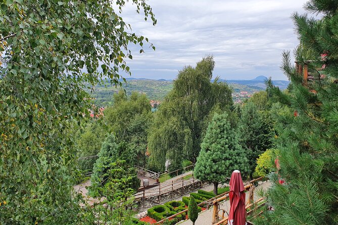 Executive Dracula Day Trip - See Bran & Peles Castle, Brasov from Bucharest - What the private guide and vehicle add
