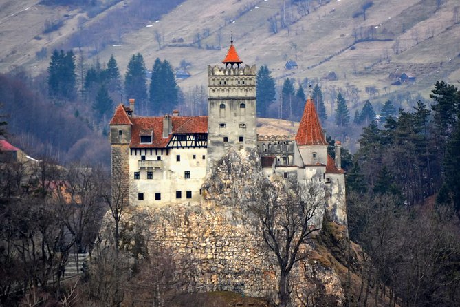 Explore Transylvania: Dracula, Peles Castle & Brasov Private Tour - Bran Castle and the Dracula question