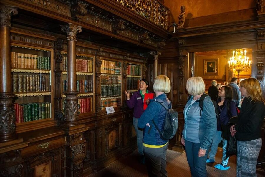From Bucharest: Brasov Peles & Dracula's Castle Day Tour - What the price really covers