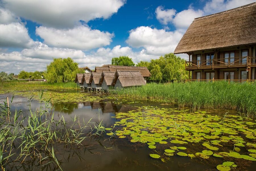From Bucharest: Day Trip to Danube Delta - Why the Danube Delta is worth the long ride