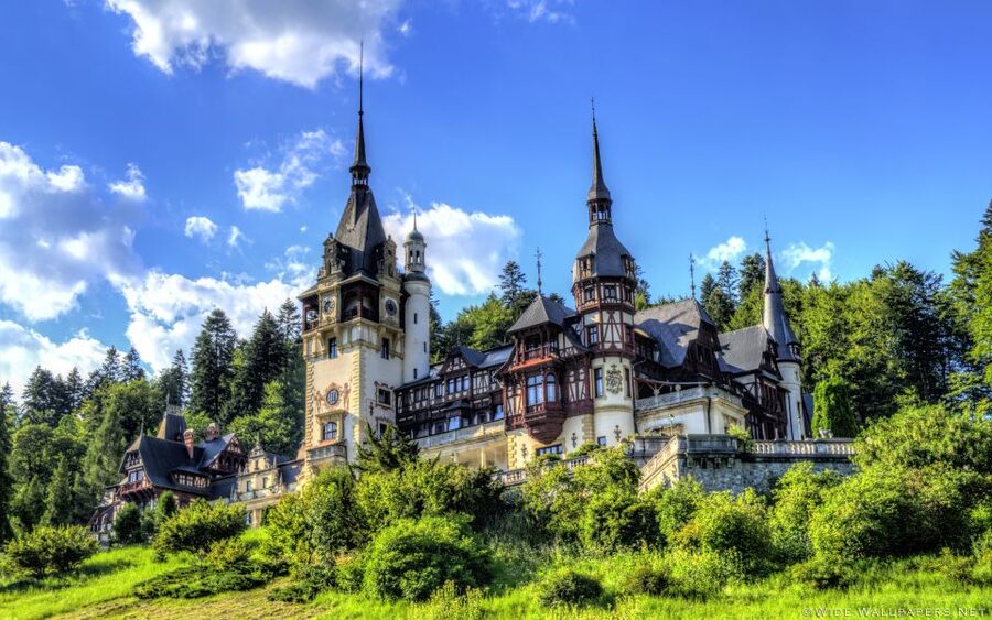 From Bucharest: Day Trip to Dracula and Peles Castle - Time for questions, stories, and local context