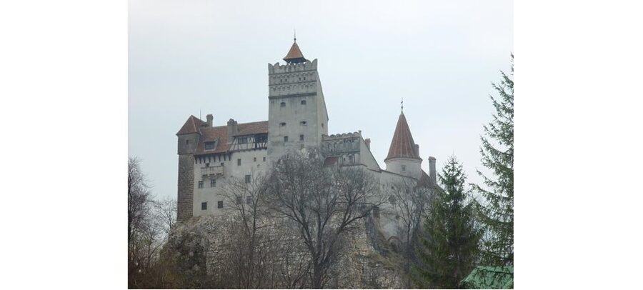 From Bucharest: Dracula Castle Day Trip - Brasov gives the day a city finish