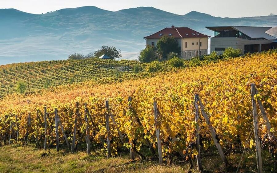 From Bucharest: Exclusive Dealu Mare Wine Tasting Tour - Why Dealu Mare is worth a day from Bucharest