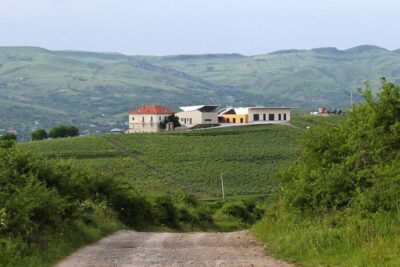 Exclusive Dealu Mare Wine Tasting Tour