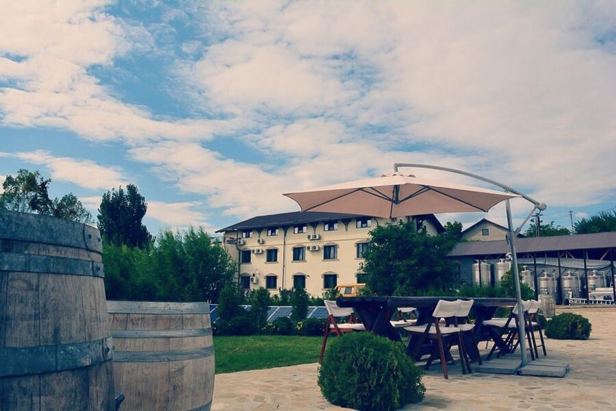 From Bucharest: Exclusive Dealu Mare Wine Tasting Tour - Guides who make the drive worthwhile