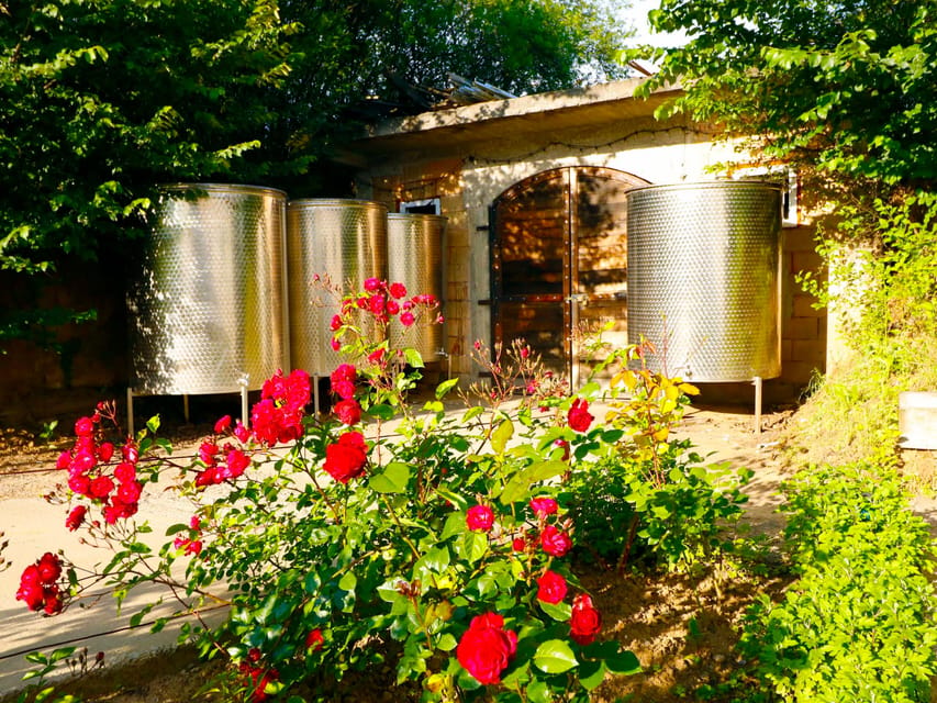 From Bucharest: Exclusive Dealu Mare Wine Tasting Tour - What the $260 price really covers