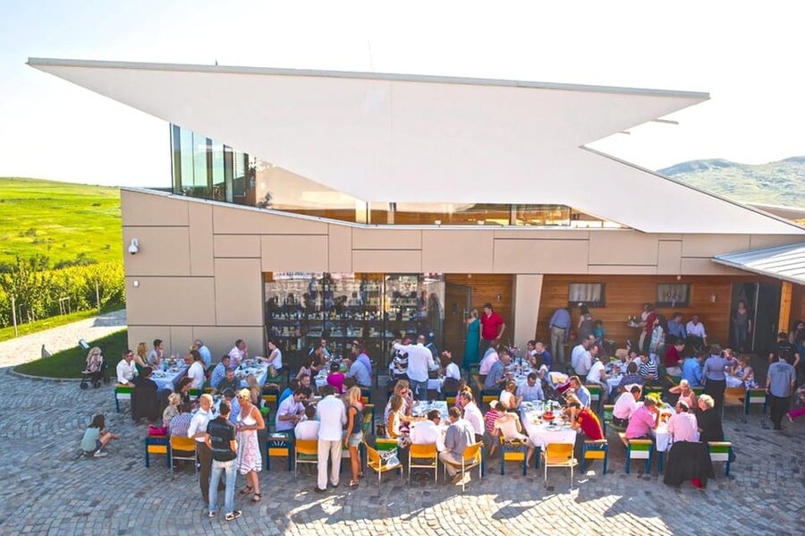 From Bucharest: Exclusive Dealu Mare Wine Tasting Tour - Who should book this wine day