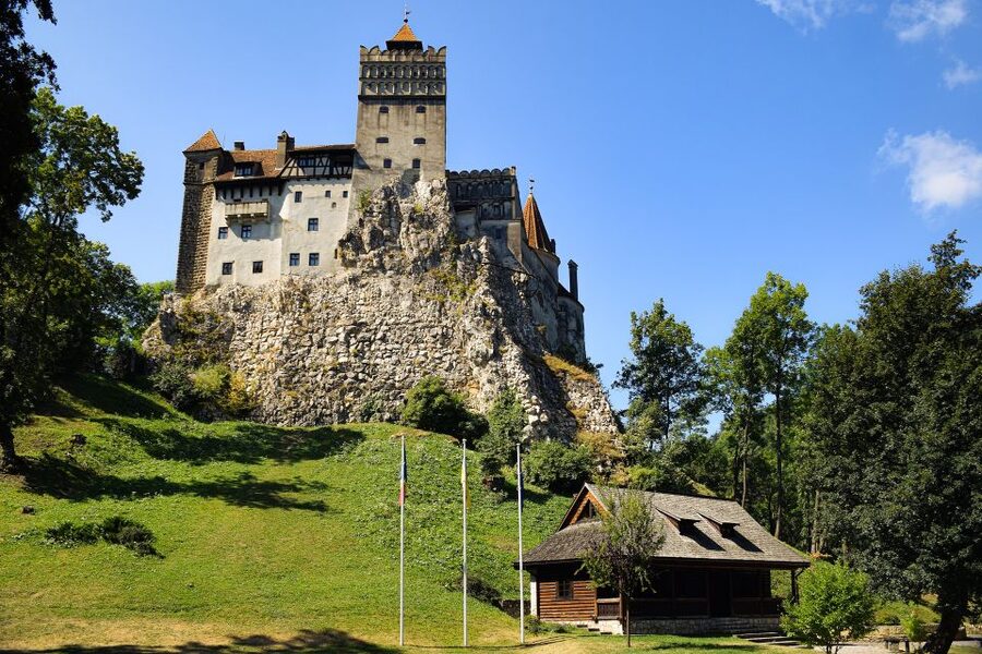 From Bucharest: Libearty Bear Sanctuary and Dracula's Castle - The Carpathian drive links two very different stops