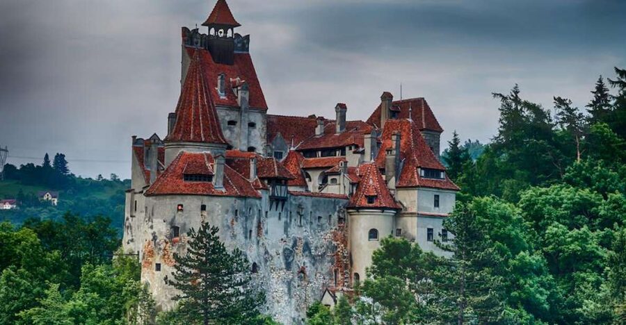 From Bucharest: Peleș and Bran Castles Private Tour - Private transport is the biggest practical advantage