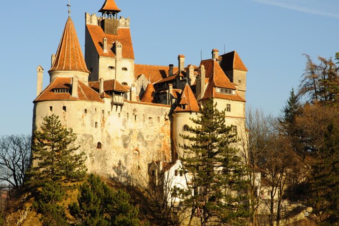 In Search of Dracula and the Teutons in Transylvania Full-Day Private Tour - Bran Castle and the Dracula question