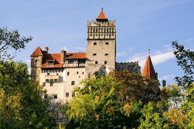 In Search of Dracula and the Teutons in Transylvania Full-Day Private Tour - Targoviste and the Wallachian court