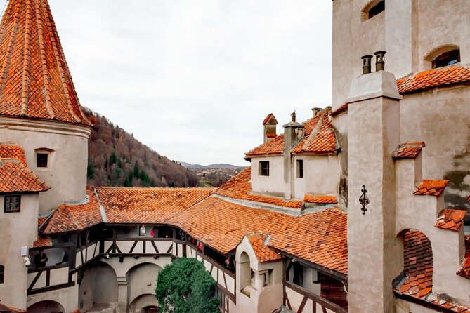 Legends&Wildlife Awaits: Dracula's Castle & Bear Sanctuary - Who will enjoy this Bucharest day trip most?
