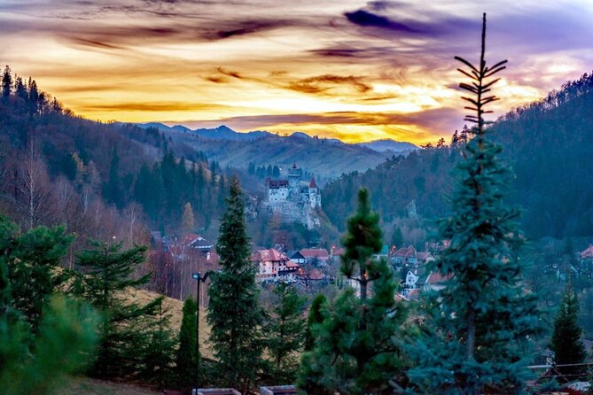 Legends&Wildlife Awaits: Dracula's Castle & Bear Sanctuary - Practical details that affect your day