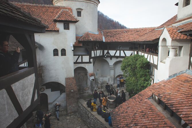 Legends&Wildlife Awaits: Dracula's Castle & Bear Sanctuary - At Libearty, watch the bears on their terms