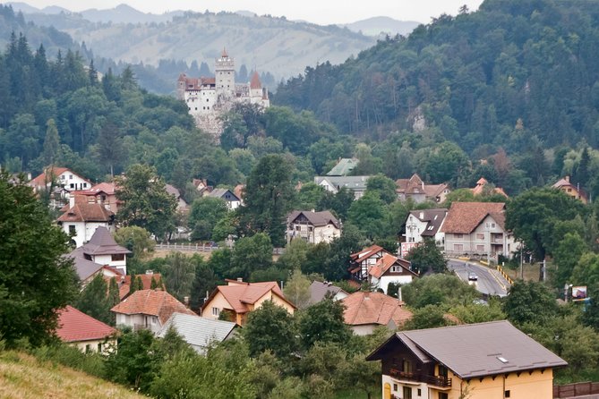 Libearty Bear Sanctuary and Dracula's Castle - Day Tour from Bucharest - Lunch and local food advice