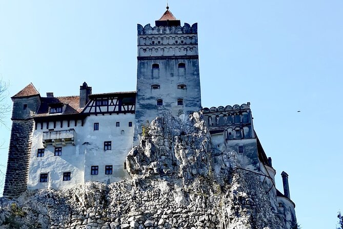 Libearty Bear Sanctuary and Dracula's Castle - Day Tour from Bucharest - Who should book this Bucharest day trip?