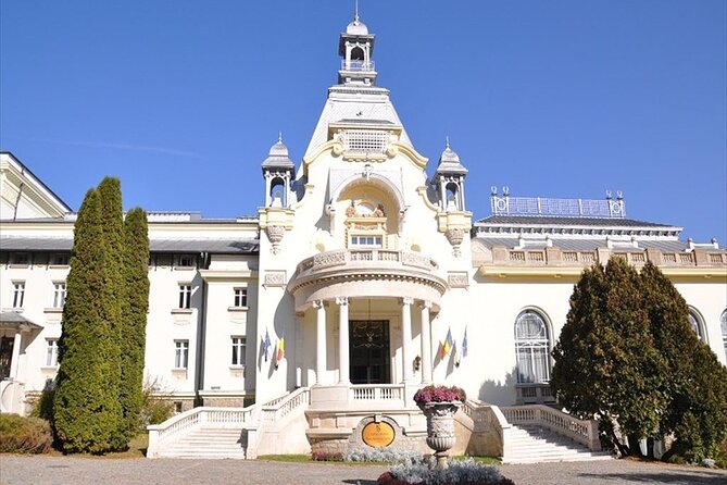 One Day Private Tour to Peles and Dracula Castles & Brasov City - Traffic, Timing, and the Long Return to Bucharest