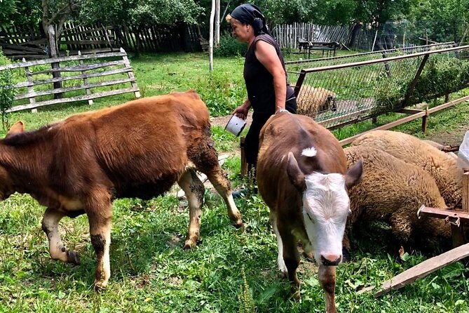 Original Carpathian Village Experience and Sinaia in one day tour - From Bucharest to the Carpathian foothills