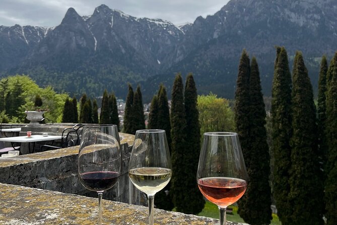 Peles & Cantacuzino Castles: Gourmet Wine & Cultural Day trip - Who should book this day trip?