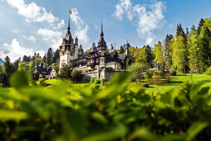 Peles & Cantacuzino Castles: Gourmet Wine & Cultural trip - Key points at a glance