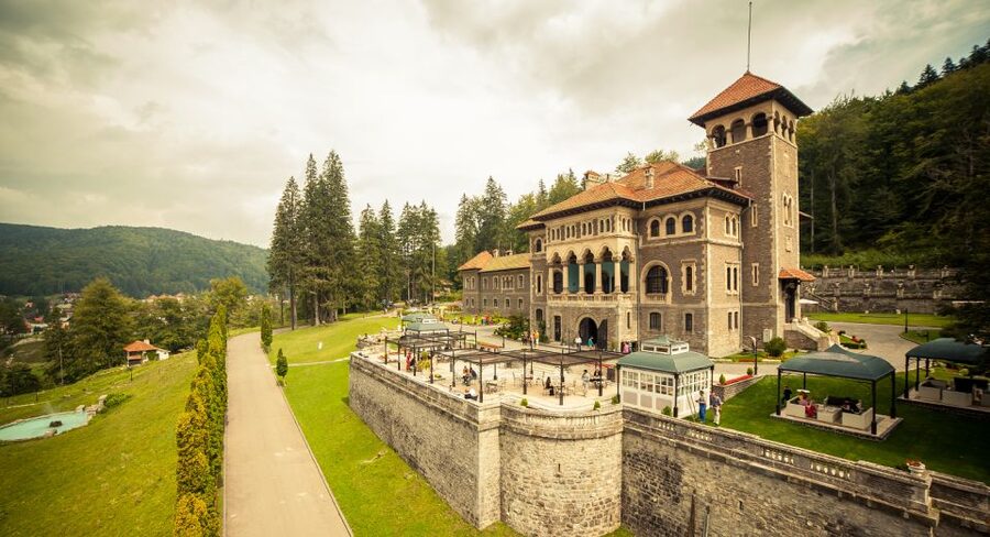 Peles & Cantacuzino Castles: Gourmet Wine & Cultural trip - Three Romanian wines with cheese and local products