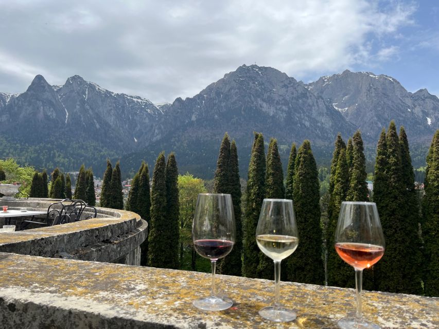 Peles & Cantacuzino Castles: Gourmet Wine & Cultural trip - Who should book this experience