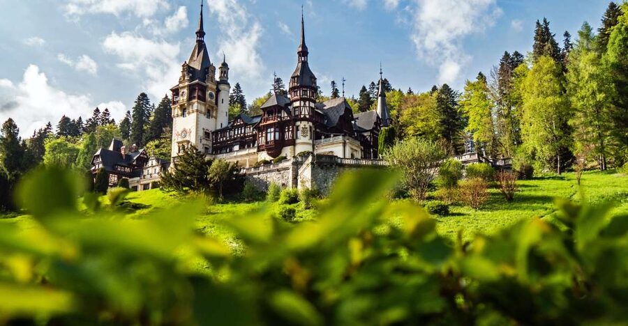 Peles & Cantacuzino Castles: Gourmet Wine & Cultural trip - Starting at Peles Castle in Sinaia