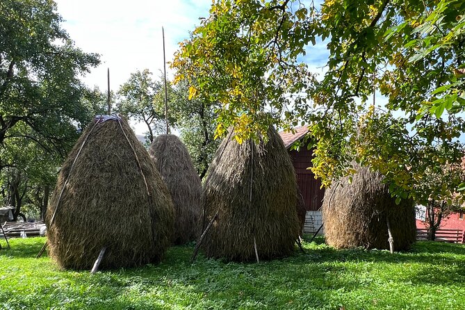 Peles castle and authentic Romanian village experience - day trip - Secăria: lunch in a working Romanian village