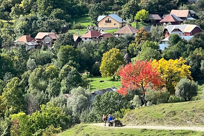 Peles castle and authentic Romanian village experience - day trip - Paltinu Lake and the final countryside views
