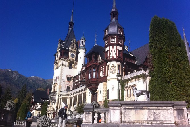 Private 4-Day Tour in Transylvania including Transfagarasan Road from Bucharest - Day four: rescued bears and Snagov’s Dracula legend