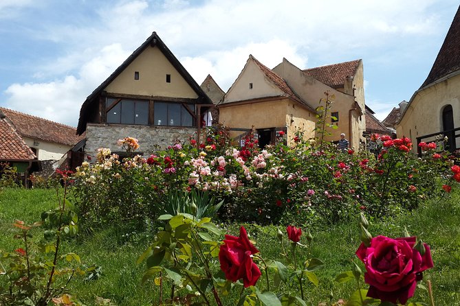 Private 5-Day Tour in Transylvania from Bucharest Hotel Pick-up and Drop off - What the price includes, and what it does not